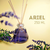 Vidro Ariel Transparente 250ml Rosca 28/410 (1un) - comprar online