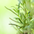 Aromatizador de Ambiente Império Alecrim LL 500ml (1Un) - loja online