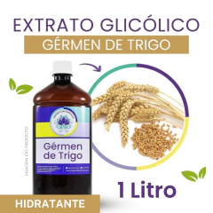 Extrato Glicólico de Gérmen de Trigo (1l)