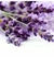 Essência Lavanda (100ml) - Império das Essências