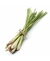 Essência Citronela (1l) - comprar online