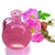 Óleo Vegetal de Rosa Mosqueta (100ml) na internet