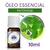 Óleo Essencial de Patchouli (10ml) na internet