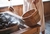 Essência de Eucalipto Para Sauna (1l) na internet