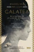 Portada del libro Galatea de Madeline Miller 