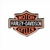Bordado Termocolante Treme Terra Modelo Harley Davidson