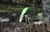 Canivete AzTeq Mod KWIK - Verde - Com pederneira na internet