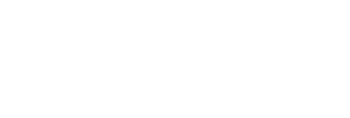 Falcon Armas