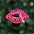 Labial Metal