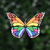 Mariposa Multicolor Big
