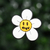 Flor Blanca