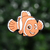Nemo