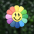 Flor Multicolor Sonrisa Big