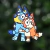 Bluey y Bingo