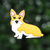 Corgi