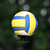 Pelota Voley 3D