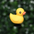 Pato 3D