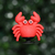 Cangrejo 3D