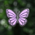 Mariposa Violeta