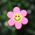 Flor Rosa