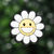 Flor Sonrisa