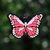 Mariposa Rosa