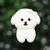 Caniche Blanco