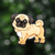 Pug