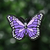 Mariposa Violeta