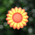 Girasol