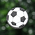 Pelota