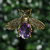 Abeja Violeta Metal