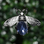Abeja Metal