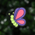 Mariposa