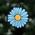 Flor Celeste - comprar online
