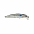 Isca Raptor Minnow - Marine Sports - loja online