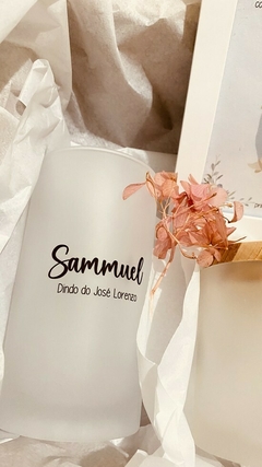 Combo Meus Dindos II - comprar online