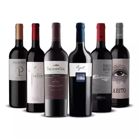 Tintos Largos y Persistentes