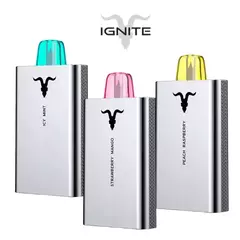 Imagen de ¡CAJA MISTERIOSA VAPERS! - MARCAS MÁS RECONOCIDAS + Envio Gratis