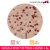 Red Caviar Micro-Sphere Gel | Gel con Tecnología de Activos Esferificados Rojos Inspirado en la Regeneración y Frescura