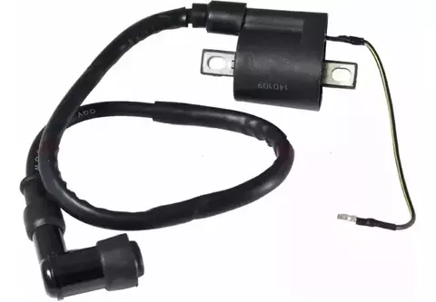 Bobina Ignición G110 con Capuchón