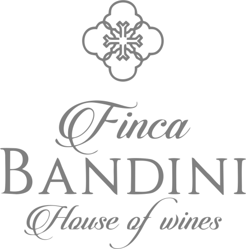 Marca 10 de RCR Cristaleria