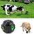 Perro jugando con pelota dosificadora de alimentos negra con chifle y otro perro comiendo croquetas del juego interactivo