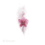 R$660 - Orchidea - 8 a 12 cm - comprar online