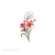 R$880 - Floral com Borboleta - 16 a 18 cm - comprar online