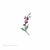 R$600 - Flor Vinho 10 a 12 cm - comprar online