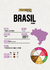 Café de Especialidad Brasil Arara en internet