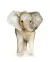 Baby Elefante
