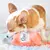 Garrafa Pet Happy Hour Crusherz: Rosê - comprar online