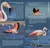 AVES DEL MAR DE ANSENUZA - GUSTAVO BRUNO - comprar online